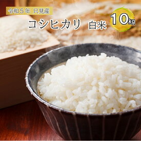 【ふるさと納税】【伊南川農園】令和5年　只見産　コシヒカリ　白米　10kg　【 お米 ライス ご飯 主食 おにぎり お弁当 福島県産 精米 食卓 】　お届け：2023年10月中旬頃から順次発送予定