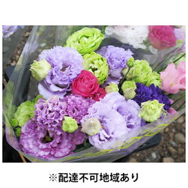楽天市場 7月 花束の通販