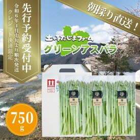 【ふるさと納税】農家直送！南会津町産朝採り春アスパラ（グリーン）　【 野菜 春野菜 朝採り野菜 柔らかい みずみずしい グリーンアスパラ 】　お届け：2024年4月10日～2024年5月20日まで