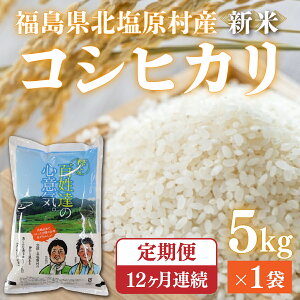 yӂ邳Ɣ[Łzys\/ߘa7NY Vāzy12ցzÁEkYuRVqJv5kg×12񂨓͂(剖IcāEW500mR͔|j y ӂ邳Ɣ[ lC  RVqJ 