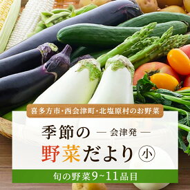 【ふるさと納税】会津発 季節の野菜だより（小）2名様1週間分相当【喜多方市・西会津町・北塩原村のお野菜】 【 ふるさと納税 人気 おすすめ ランキング 季節の野菜 会津 旬 野菜 北塩原村 喜多方市 西会津町 旬の野菜 セット 詰め合わせ 福島県 北塩原村 送料無料 】 KBW001