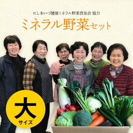 【ふるさと納税】 西会津ミネラル野菜セット（大） F4D-0121