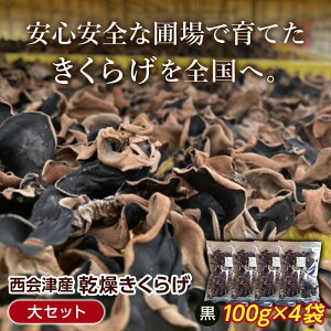 yӂ邳Ɣ[ŁzIÎY 炰 Zbg(100g×4) S_  炰 Y ؎ LNQ Hi F4D-0228