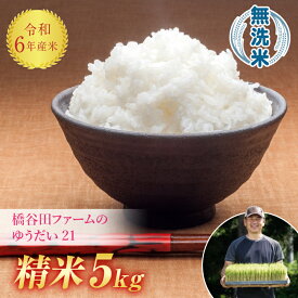 【ふるさと納税】 令和6年産 減農薬・減化学肥料栽培 ゆうだい21 無洗米 5kg 米 お米 おこめ ご飯 ごはん 福島県 西会津町 F4D-0648