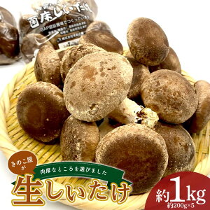 yӂ邳Ɣ[Łẑ̓ȂƂI񂾐 1kg(200g×5pbN)  ő VC^P  ÎY  ̂ Hi F4D-0702