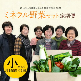 【ふるさと納税】 西会津ミネラル野菜セット定期便（小）2回 F4D-0737