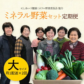 【ふるさと納税】 西会津ミネラル野菜セット定期便（大）2回 F4D-0733