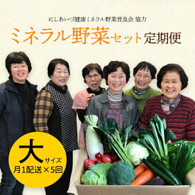 【ふるさと納税】《定期便》西会津ミネラル野菜セット(大)＜月1回配送×5ヶ月連続＞ 朝採れ 野菜 セット 詰合せ 契約農家 朝採り 採れたて 新鮮 定期便 5回 5ヶ月 連続 食品 F4D-0123