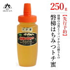 【先行予約】国産純粋はちみつ 天然 磐梯養蜂 磐梯はちみつ 250g［チューブ］ トチはちみつ トチみつ トチ蜜 蜂蜜 ハチミツ はちみつ HONEY ハニー 国産 産地直送 無添加　※2024年7月中旬以降順次発送予定