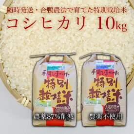 【ふるさと納税】【令和7年産米】農薬87%削減　農薬不使用　コシヒカリ　合鴨農法　10kg(特別栽培米、旧名：会津磐梯山宝米）