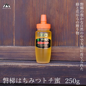 【ふるさと納税】国産純粋はちみつ 天然 磐梯養蜂 磐梯はちみつ 250g［チューブ］ トチ