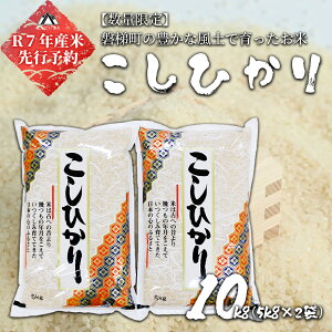 yӂ邳Ɣ[Łzy\zyߘa7NYāz֒򒬎YRVqJ10kgi5kg×2j@2025N10{菇\