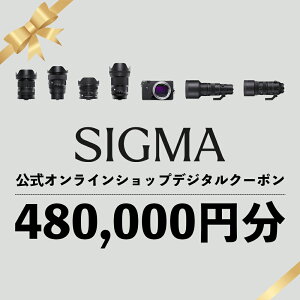 yӂ邳Ɣ[ŁzVO} SIGMA  ICVbv@JEY wN[|i480,000~j