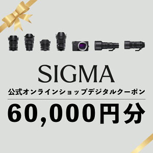 yӂ邳Ɣ[ŁzVO} SIGMA  ICVbv@JEY wN[|i60,000~j