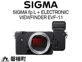【ふるさと納税】SIGMA fp L + ELECTRONIC VIEWFINDER EVF-11