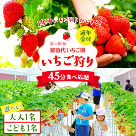 【ふるさと納税】【選べる大人・こども】いちご狩り 1年中 「道の駅前 猪苗代 いちご園」 チケット | 利用券 チケット 体験 観光 苺 通年 福島県 猪苗代 会津地域 寄附額 10000 10000円 1万円 以下 以内