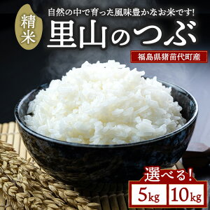 �y�ӂ邳�Ɣ[�Łz�_�I�ׂ���e�ʁ^ �ߘa7�N�x�Y ���R�̂� ���� 5kg 10kg �b ���� �V�� ���� ���c�㒬���� �������ւ̔z���s��