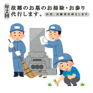 yӂ邳Ɣ[Łz_r[ełăv[g^yN2zQE|sv~Av@`Pbg