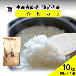 yӂ邳Ɣ[Łzyߘa7NxY Vė\z  RVqJ 10kg(10kg×1)   2025N11{菇\ Eւ̔zs