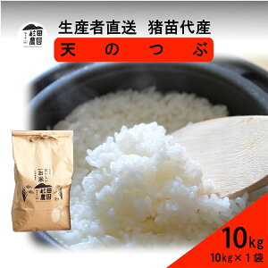 yӂ邳Ɣ[Łzyߘa7NxY Vė\z  V̂ 10kg(10kg×1)   2025N11{菇\ Eւ̔zs