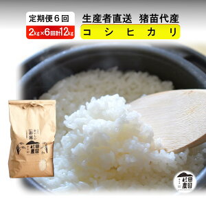 yӂ邳Ɣ[Łzy 6zyߘa7NxY Vė\z  RVqJ 12kg(2kg×6)   2025N11{菇\ Eւ̔zs