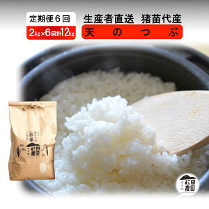 yӂ邳Ɣ[Łzy 6zyߘa7NxY Vė\z  V̂ 12kg(2kg×6)   2025N11{菇\ Eւ̔zs