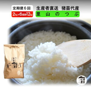 yӂ邳Ɣ[Łzy 6zyߘa7NxY Vė\z  R̂ 12kg(2kg×6)   2025N11{菇\ Eւ̔zs