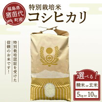 楽天市場】精米済み 米の通販