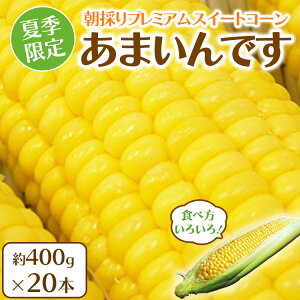 yӂ邳Ɣ[ŁzċG ̂ v~AXC[gR[ u܂łv 20{ 8kg |  t[cƂ낱 Yn Eւ̔zs