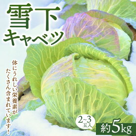 【ふるさと納税】 【先行予約】雪下キャベツ（2〜3玉入/1箱 約5kg） | ブランド野菜 甘み 旨み 産地直送 福島県 猪苗代町 寄附額 10000 10000円 1万円 以下 以内 ※2027年1月～発送