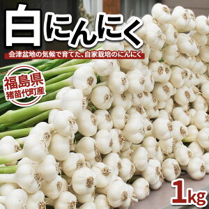 yӂ邳Ɣ[Łzyʌzɂɂ 1kg Y cY@Aւ̔zs@2025N9{菇\