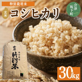 【ふるさと納税】3-D　コシヒカリ 玄米 会津 30kg 令和7年産 ｜ 特別栽培米 減農薬 米 お米 藤川農産