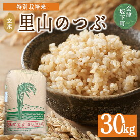 【ふるさと納税】3-J　里山のつぶ玄米30kg 令和7年産 特別栽培米 ｜ 福島県会津坂下町オリジナルの玄米。米の一粒一粒が大きく、しっかりした食感、適度なもちもち感と甘みのあるお米です。 ※2025年9月下旬頃より順次発送予定