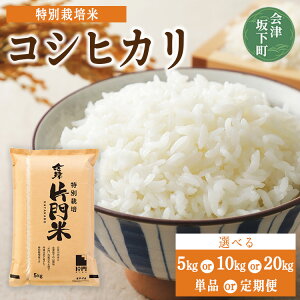 yӂ邳Ɣ[ŁzyIׂeʁzRVqJ   ߘa7NY b _ ʍ͔|   _Y 2025N10{菇\