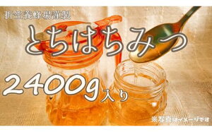 yӂ邳Ɣ[Łz6-B@܊}{I@Ƃn`~c@2400g