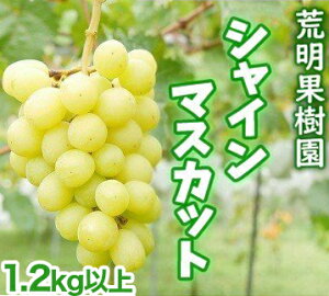 yӂ邳Ɣ[Łz17-H@[\JnI]@rʎ@lAɏԂǂiVC}XJbgj1.2kgȏi2`3[j 2025N10{菇\