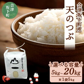 【ふるさと納税】【選べる容量】会津　天のつぶ5kg・10kg・20kg（令和7年産米） ｜ 福島県 会津坂下町の豊かな自然で作った単一米。香り良くツヤがあり、しっかりとした食感のあるお米は一粒一粒に愛情が込められています。