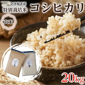 【ふるさと納税】51-B 会津坂下町産 特別栽培米コシヒカリ 20kg(5kgx4) 玄米 FARMiliarほり の 「もぉ～うん米」◆｜ 福島県産 米 お米 単一米 特別栽培 減農薬 真空パック 長期保存