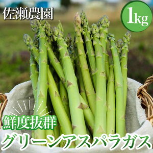 yӂ邳Ɣ[Łz26-A NxQI_̃O[AXpKX 2026N4{`9{ɏ\