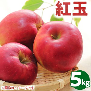 yӂ邳Ɣ[Łz50-B ɓ񂲉 g 5kgb S ь ʕ  t[c  Í≺ 20`23  2025N10{菇\