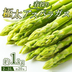 yӂ邳Ɣ[Łz60-A ɑAXpKX2`3LTCY1kgi20{j2026N4{`5{ɏ\