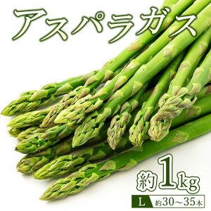 yӂ邳Ɣ[Łz60-B AXpKXLTCY1kgi30`35{j2026N4{`9{ɏ\