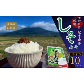 【ふるさと納税】ご飯や野菜のお供に!会津のピリカラしそみそ100g×10パック入り【1715087】