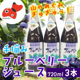 【ふるさと納税】【山の恵みぎゅっと!】手摘みブルーベリージュース　720ml 【3本セット】【1362298】