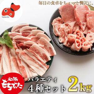 yӂ邳Ɣ[Łzyuh؁z_炩W[V[ȓ!ua؂Ԃv4Zbg@2kgyzsnFzy1497925z