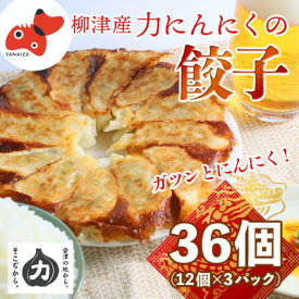 【ふるさと納税】【ガツンとにんにく!】力にんにくを使った餃子【冷凍】 36個(12個×3パック)_ 餃子 ぎょうざ にんにく 冷凍 中華 惣菜 美味しい 人気 【配送不可地域：離島】【1510129】