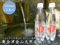 【ふるさと納税】奥会津金山天然炭酸の水（350mlペットボトル）12本　福...