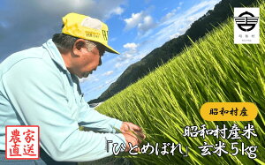 yӂ邳Ɣ[ŁzaYāuЂƂ߂ڂv5kg   ЂƂ߂ڂ   R ʊ 5kg    Ε Mtg a ӂ  yRz