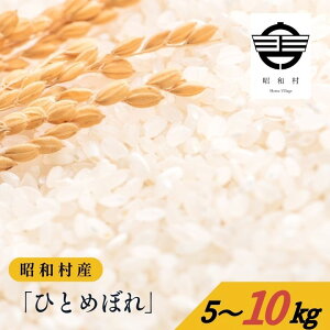 ߘa7NYs2025N10{ȍ~tuЂƂ߂ڂv5~10kg   qg{ ЂƂ߂ڂ   R 5kg     Ε Mtg a ӂ  y