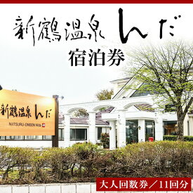 【ふるさと納税】新鶴温泉んだ温泉券（大人回数券11回分）◇